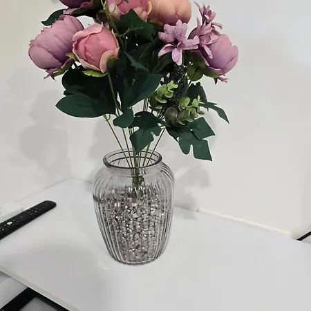 Golden Oasis Free Private Parking 아파트 *