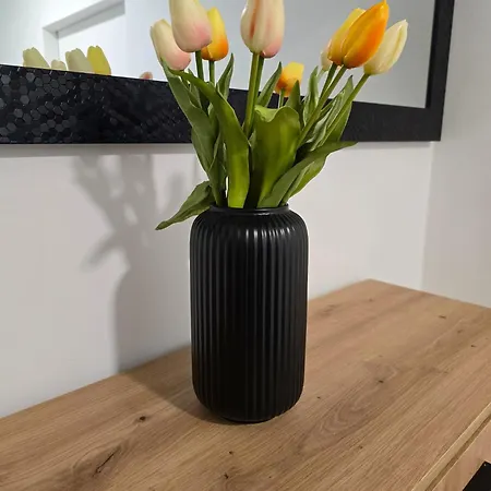 아파트 Golden Oasis Free Private Parking 류블랴나