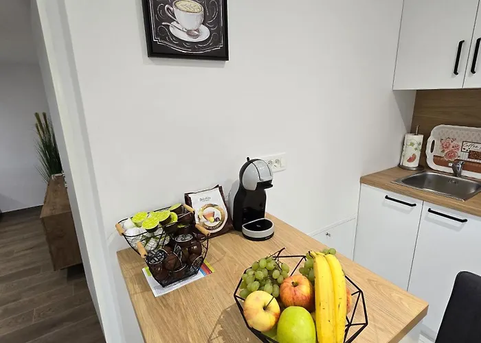 Golden Oasis Free Private Parking Apartament *