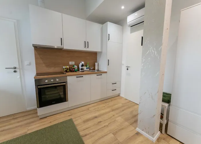 Golden Oasis Free Private Parking Apartament Lublana